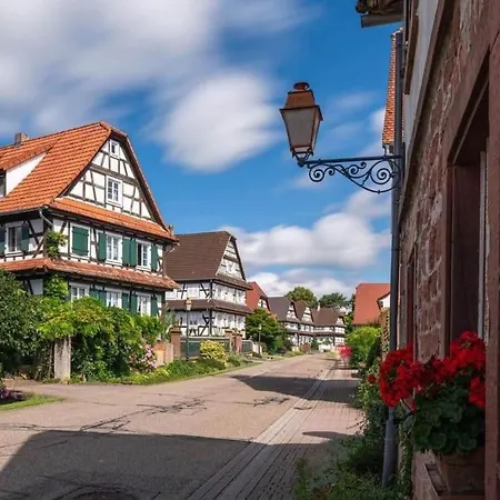 Au Petit Nid De Seebach Exterior photo