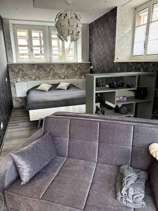 Au Petit Nid De Apartment Seebach