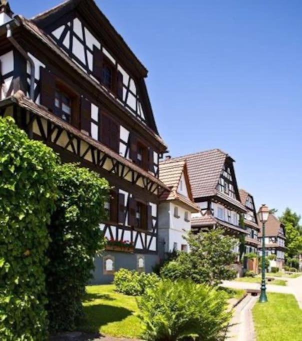 Appartement Au Petit Nid De